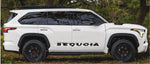 Premium Vinyl Sticker Compatible With Toyota Sequoia Name Flame Design BFF